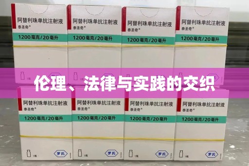 湖州伦理、法律与实践的交织