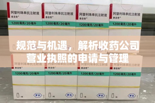湖州规范与机遇，解析收药公司营业执照的申请与管理