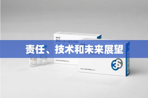 湖州责任、技术和未来展望
