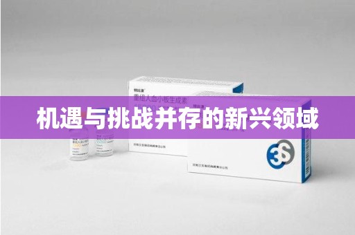 湖州机遇与挑战并存的新兴领域