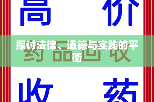 湖州探讨法律、道德与实践的平衡