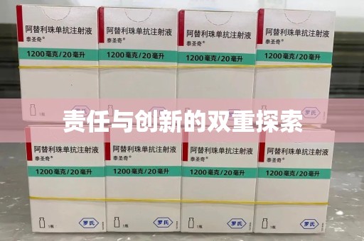 湖州责任与创新的双重探索