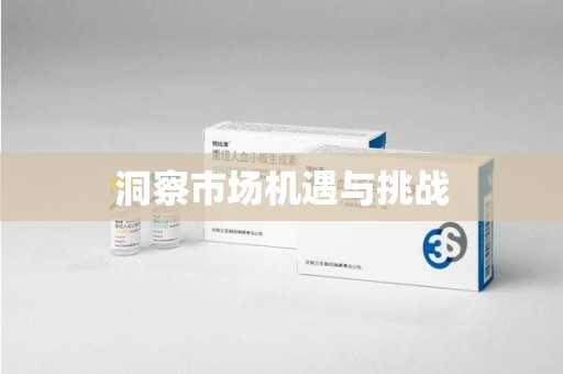 湖州洞察市场机遇与挑战