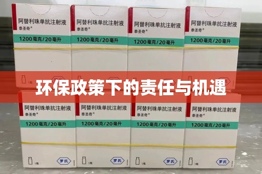 湖州环保政策下的责任与机遇