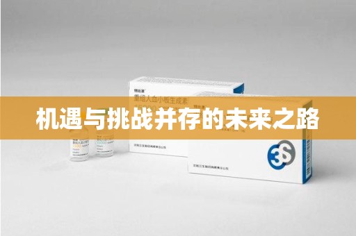 湖州机遇与挑战并存的未来之路