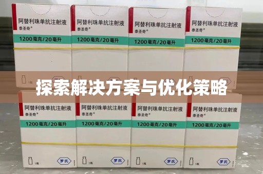湖州探索解决方案与优化策略