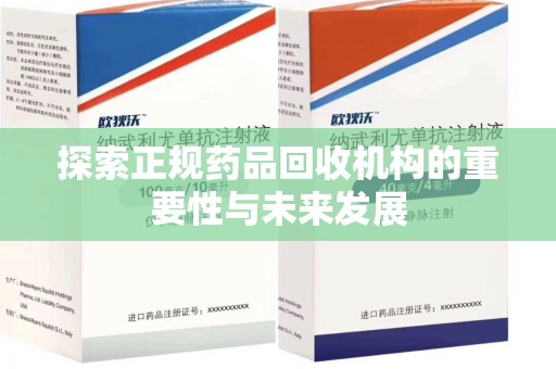 湖州探索正规药品回收机构的重要性与未来发展