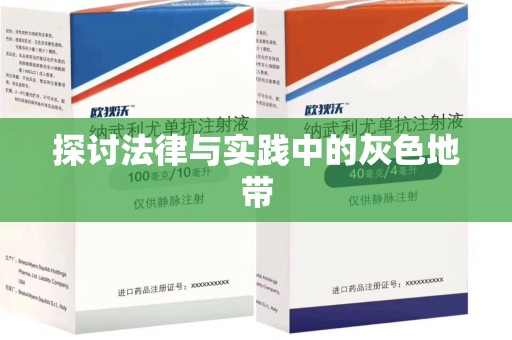 湖州探讨法律与实践中的灰色地带