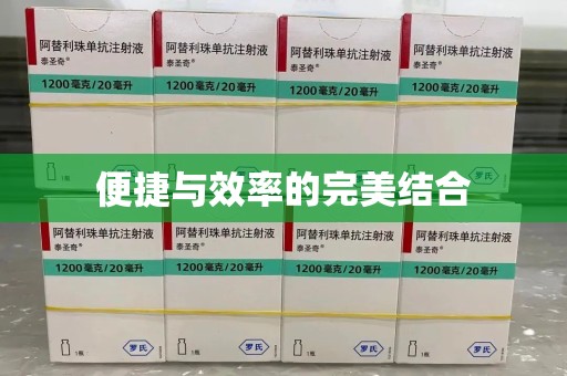 湖州便捷与效率的完美结合