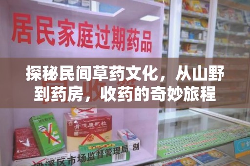 湖州探秘民间草药文化，从山野到药房，收药的奇妙旅程