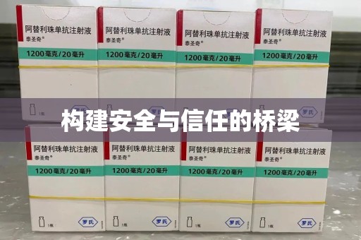 湖州构建安全与信任的桥梁