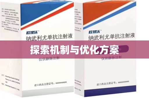 湖州探索机制与优化方案