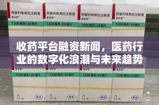 湖州收药平台融资新闻，医药行业的数字化浪潮与未来趋势