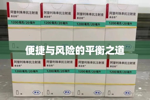 湖州便捷与风险的平衡之道